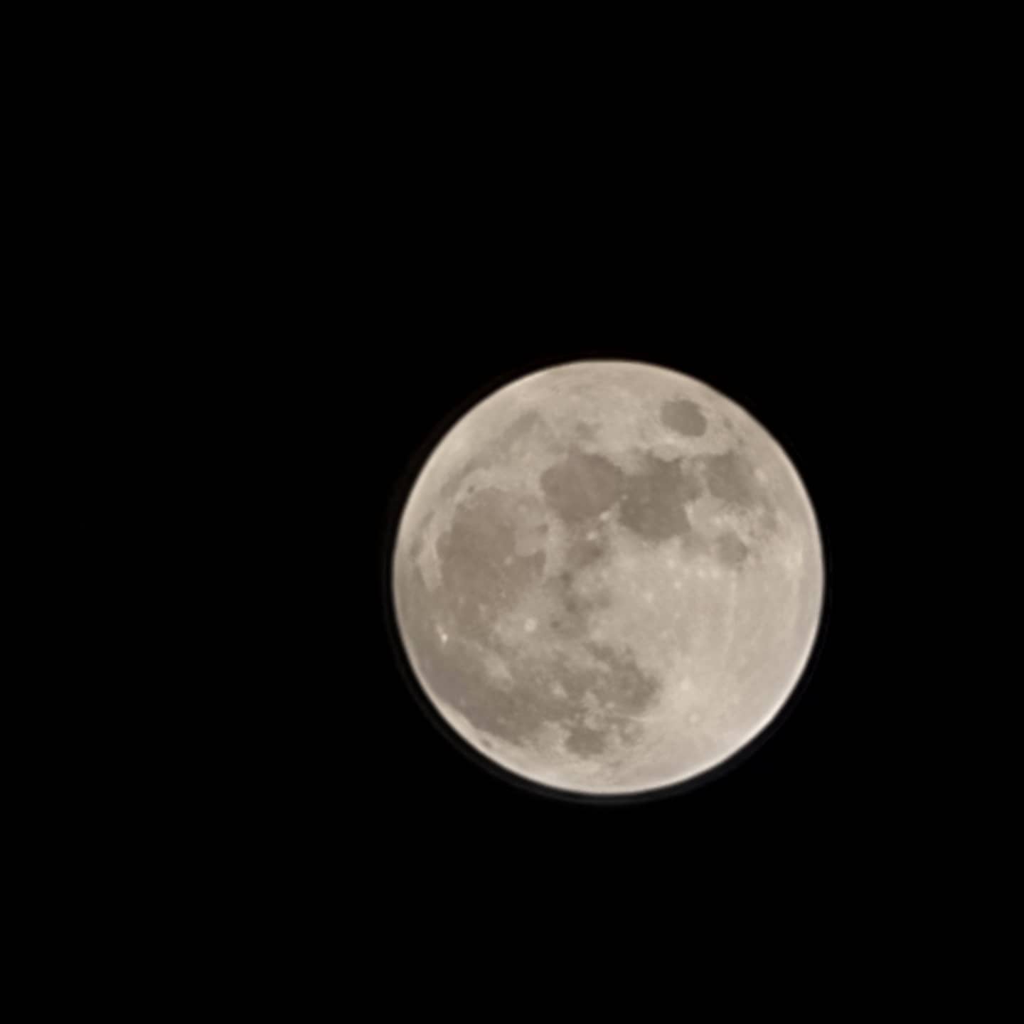 Uttpal Patel,  growth#moon, moonlight, peace, peaceofmind, night, nostalgic, development, uttpalpatel, future, Gandhinagar, farmhouse, weekendvilla, commericial, residencial, residency, Nakshtra, realestatedeveloper, realestate, propertydeveloper, Nakshtragroup, TrustedBuilder, GandhinagarProperty, inhousegym, gym, fitness, inhousefitness