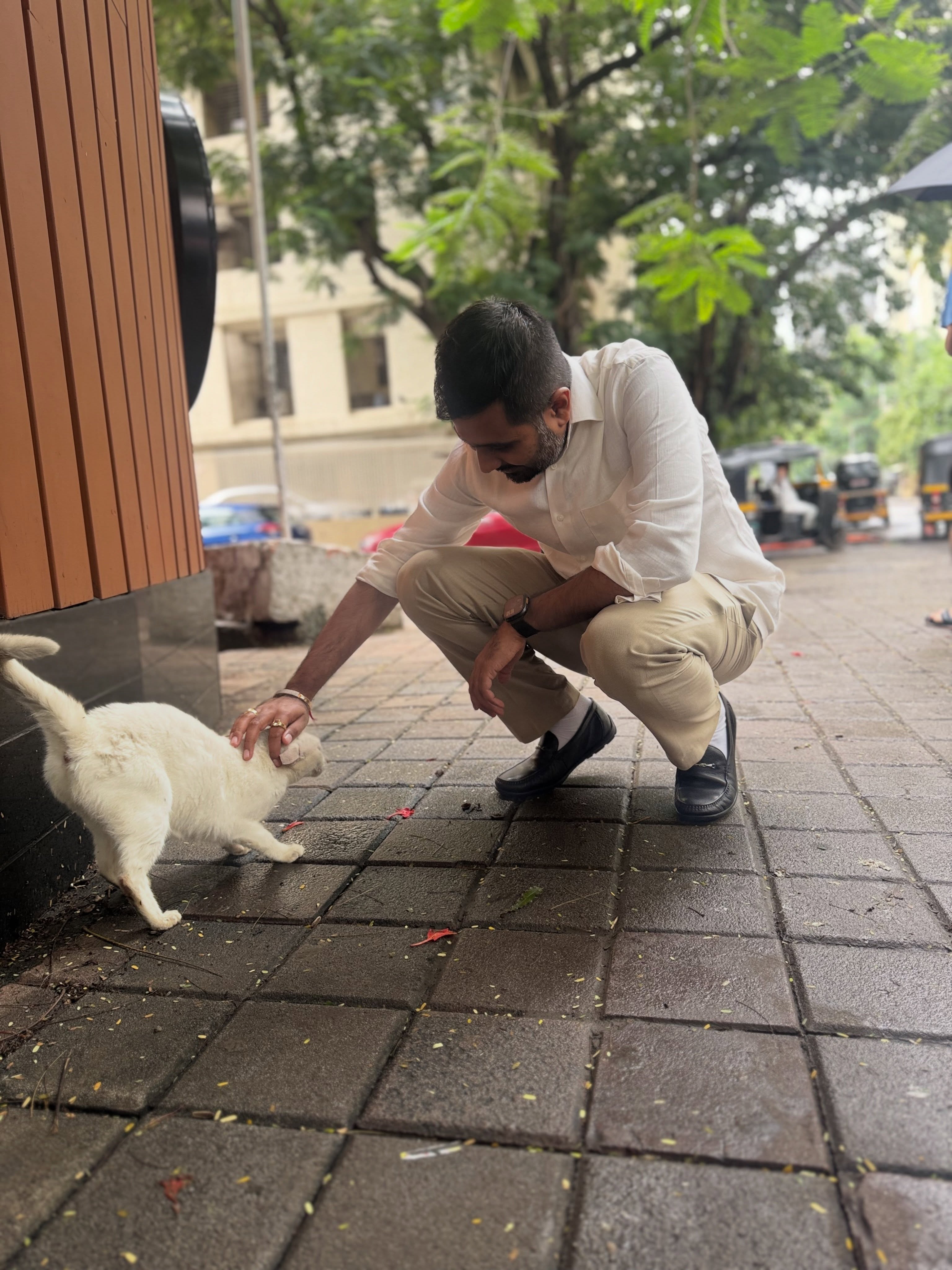 https://social.uttpalpatel.com/data/insta_images/uttpal_insta/18104097290224679