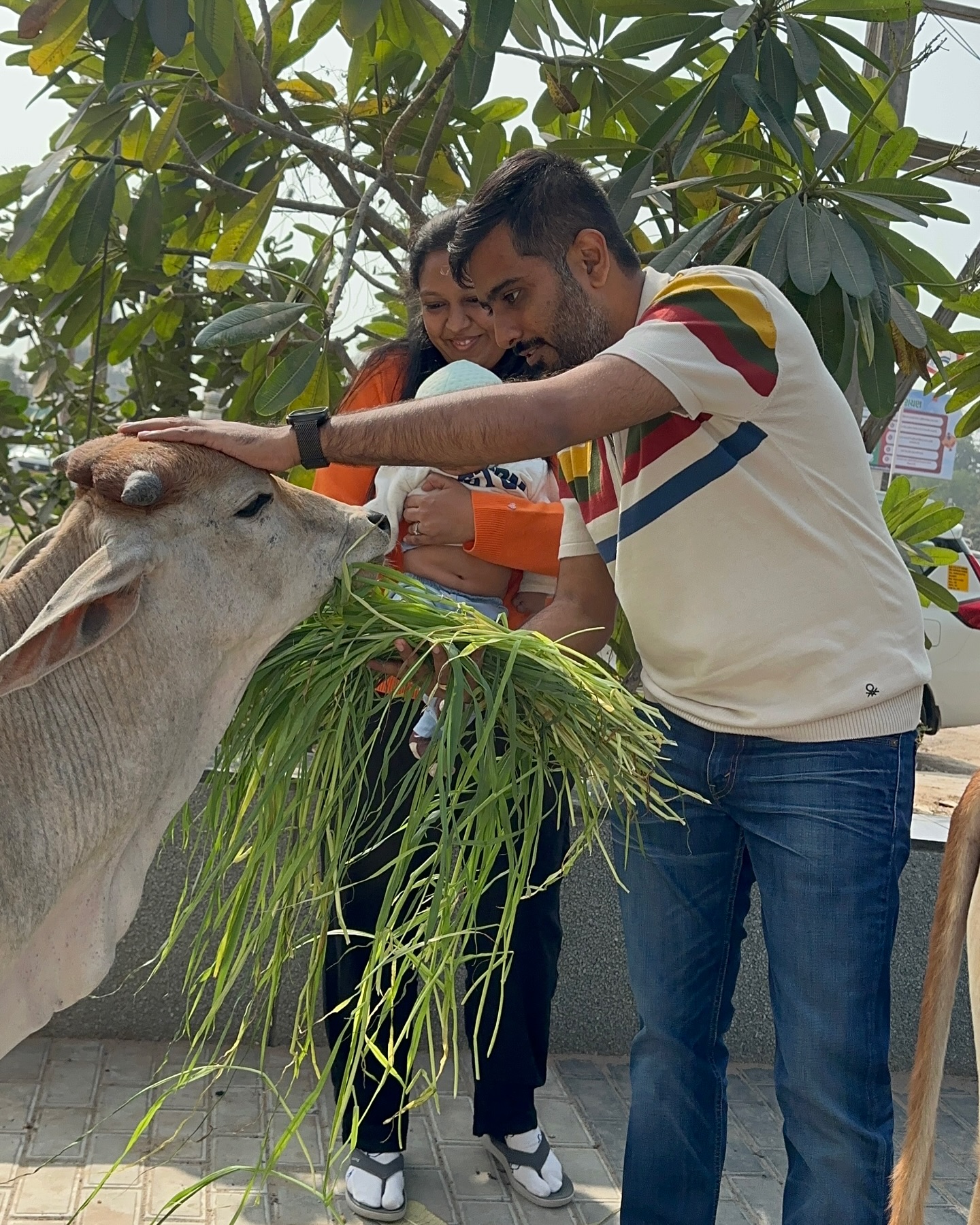 Uttpal Patel,  uttarayan, makarsankranti