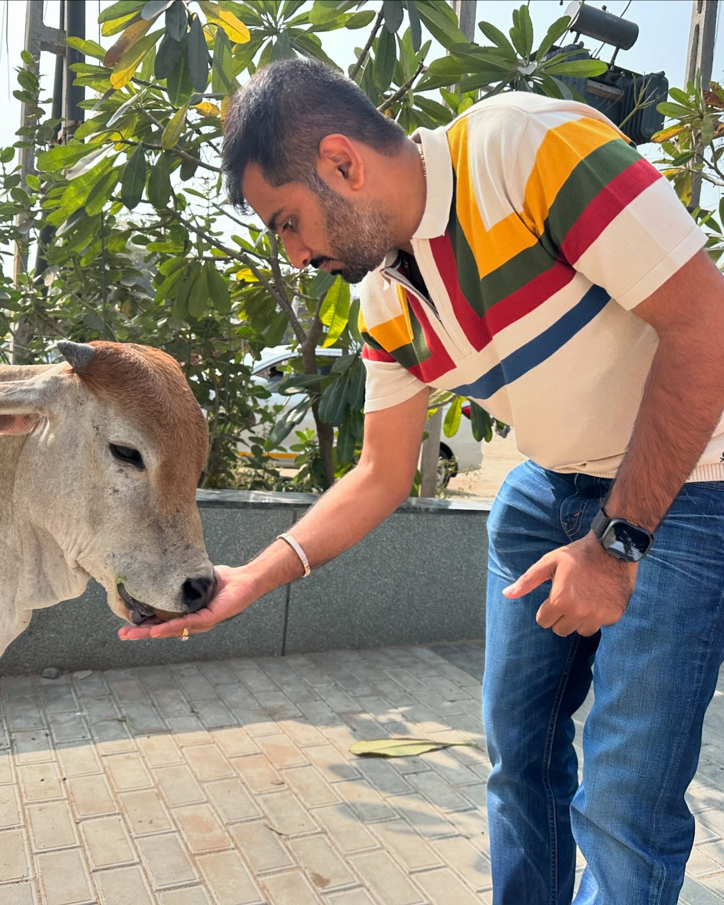 Uttpal Patel,  uttarayan, makarsankranti
