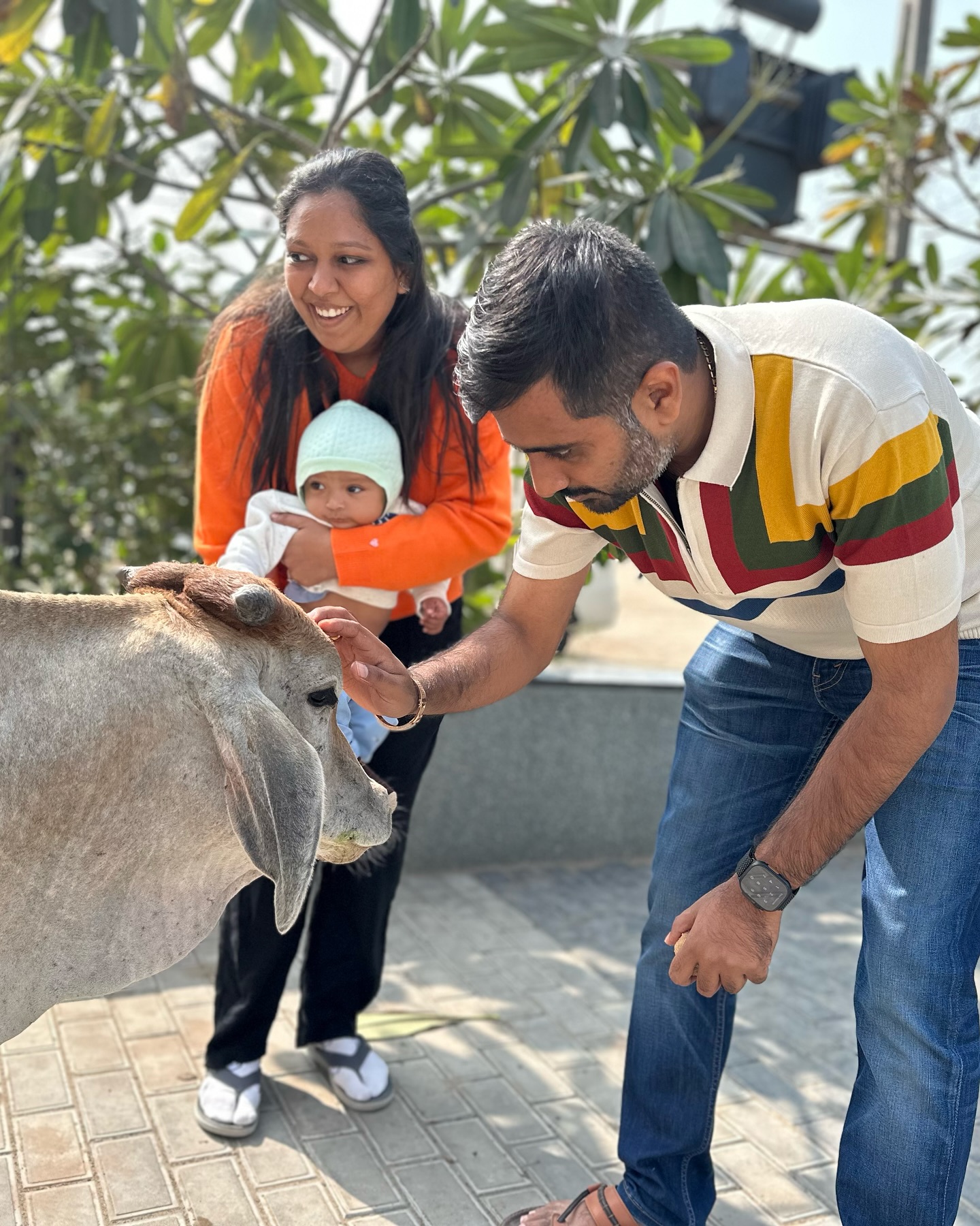 Uttpal Patel,  uttarayan, makarsankranti