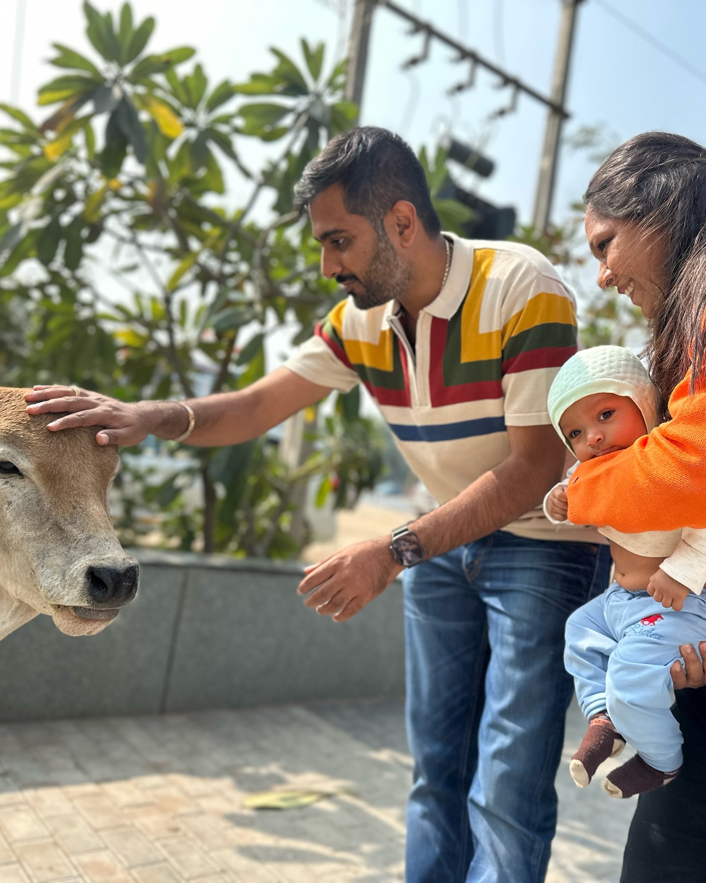 Uttpal Patel,  uttarayan, makarsankranti
