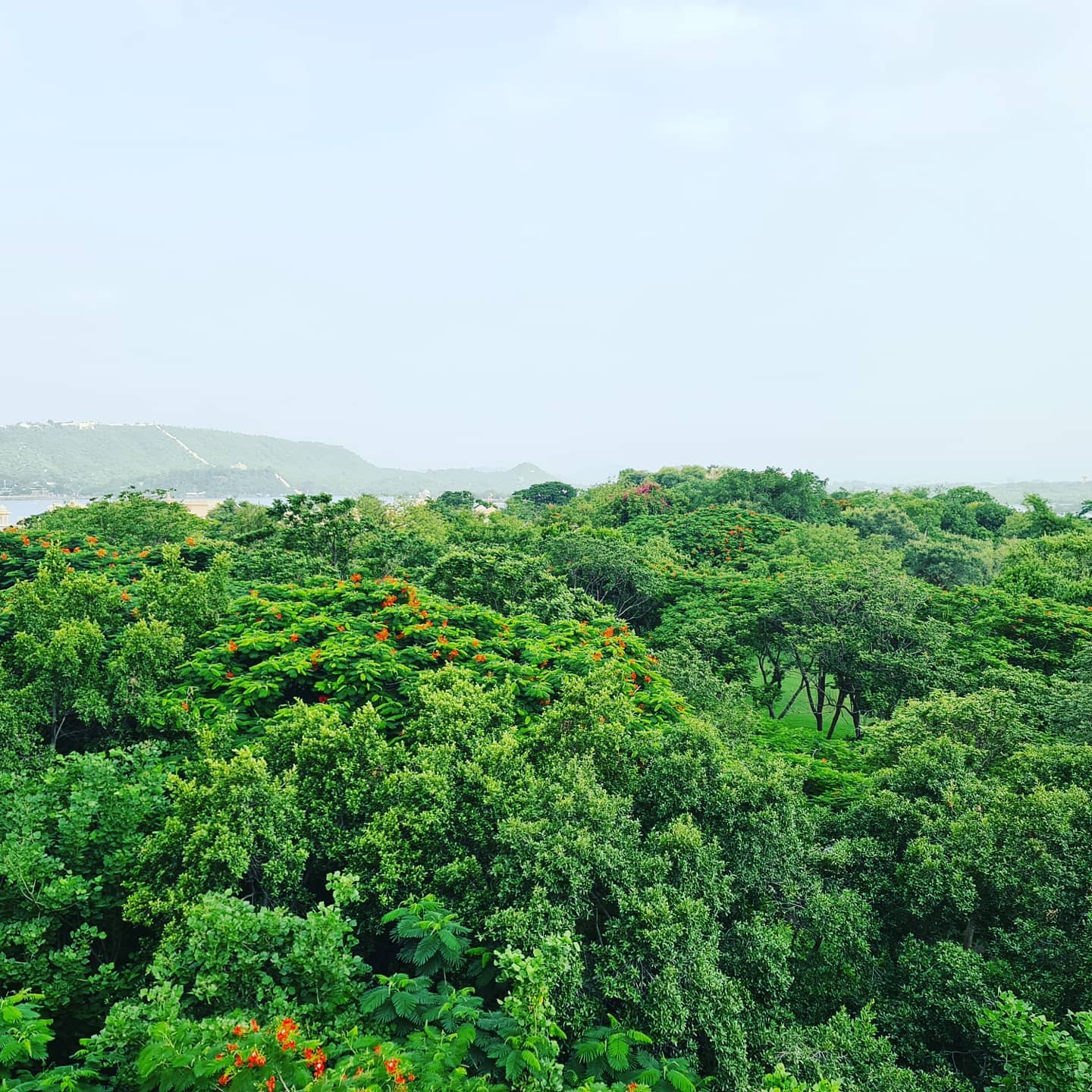Uttpal Patel,  udaipur#vacationmode#photographylover#withlove